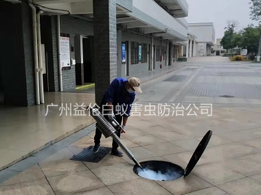 花都工业园除四害