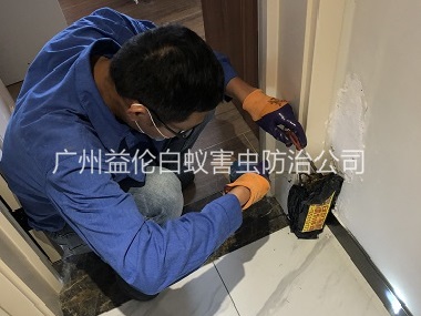 赤坭住宅白蚁防治工程