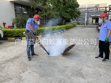 钟落潭下水道消杀工程