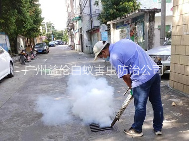花都登革热消杀工程