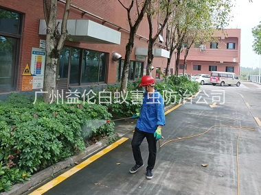 狮岭环境蚊蝇防控工程