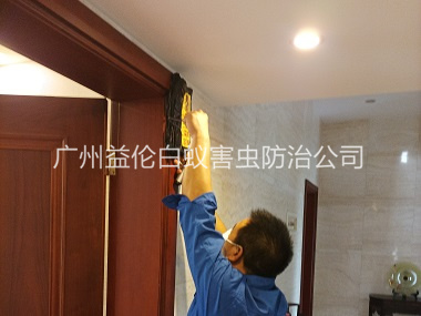 嘉禾房屋治白蚁工程