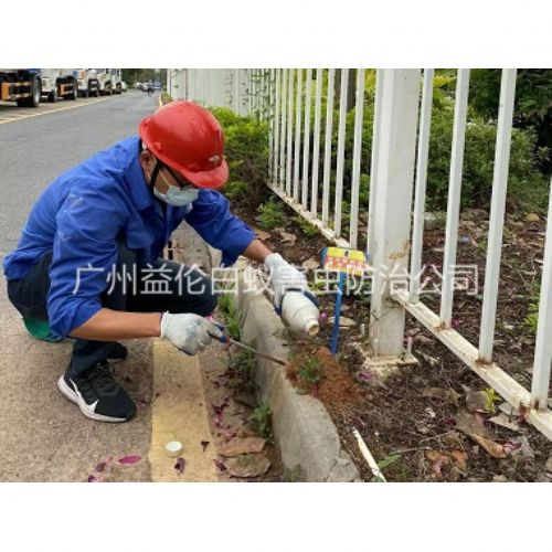 梯面红火蚁防治工程