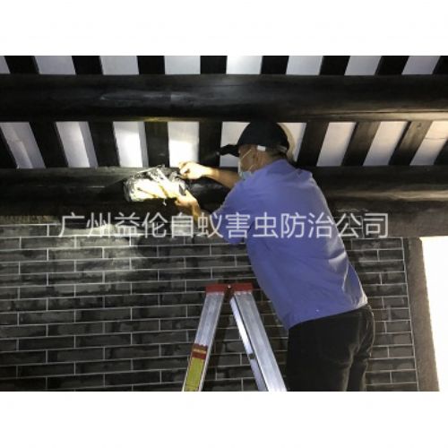 芙蓉祠堂杀灭白蚁工程