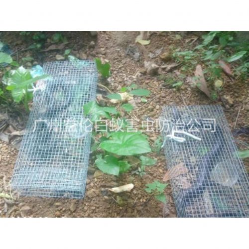 花都上门驱蛇防蛇工程