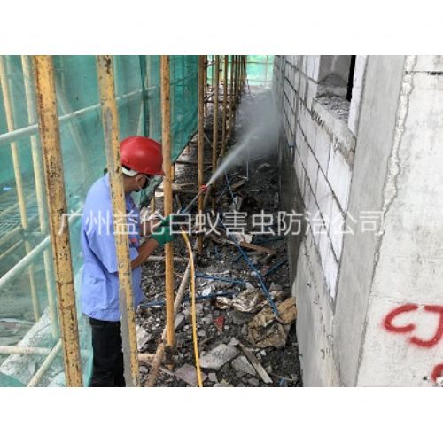 广州建筑白蚁预防工程