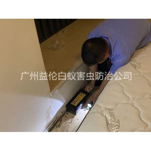 神山家居白蚁灭治工程