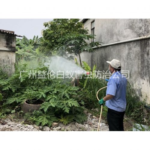 新华社区消灭蚊子工程
