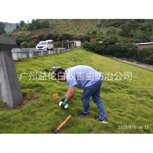 嘉禾水利工程红火蚁防治
