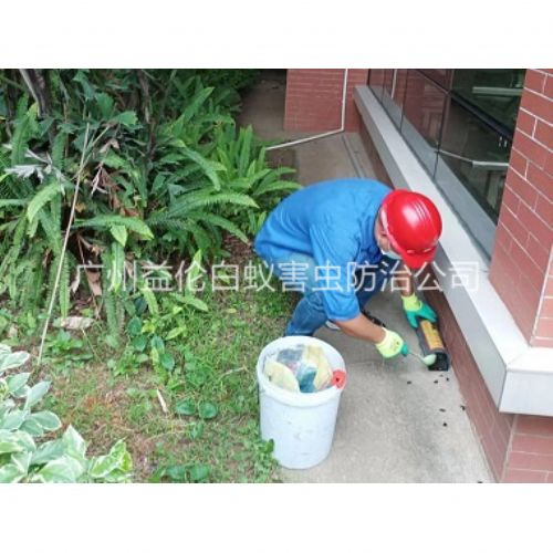 狮岭施药灭鼠工程