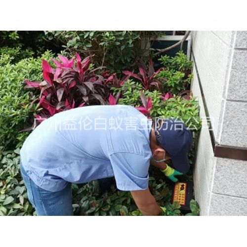 新华住宅环境灭鼠工程